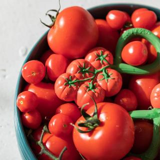 Oli & Carol Rammelaar Tomaat