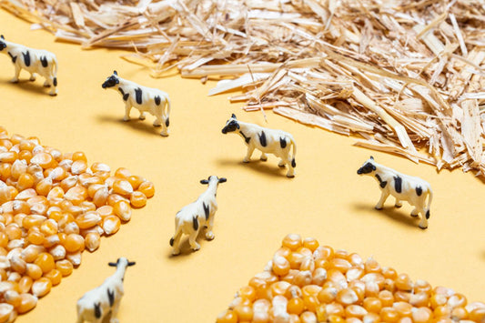 Petit Boum Sensorische Fles Boerderij – Little Wannahaves