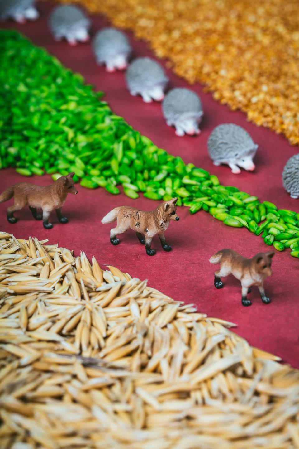 Petit Boum Sensorische Fles Bos