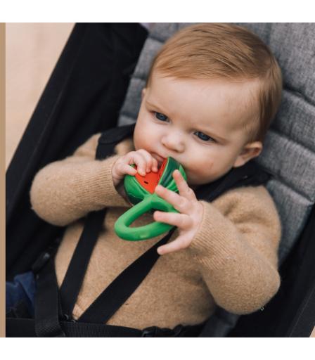 Oli & Carol Rammelaar Watermeloen