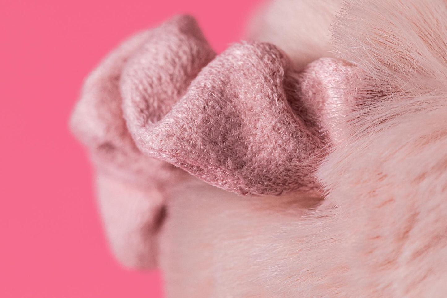 Jellycat Knuffel Smudge Pig Original – Little Wannahaves