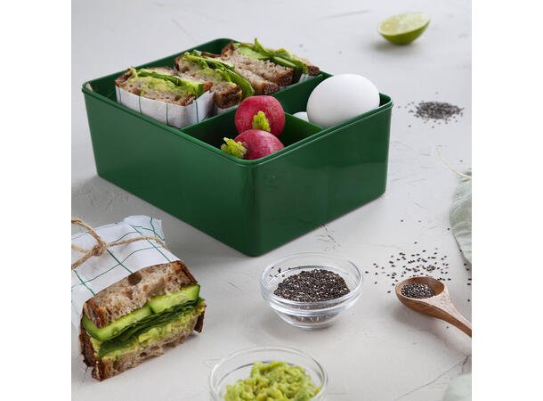 Blafre lunchbox beer lichtgeel donkerblauw (3 vakken) – Little Wannahaves