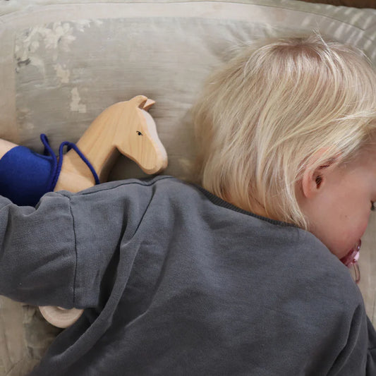 Grimm's Houten Paard op Wielen Holly