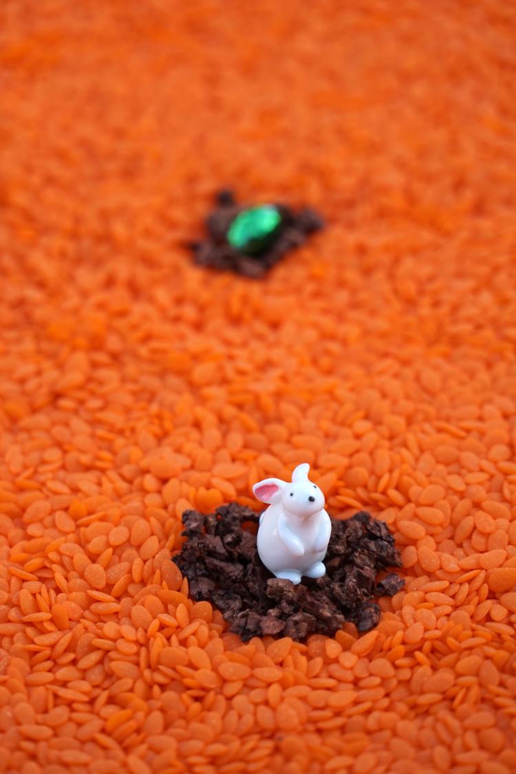 Petit Boum Sensorische Fles met Konijn