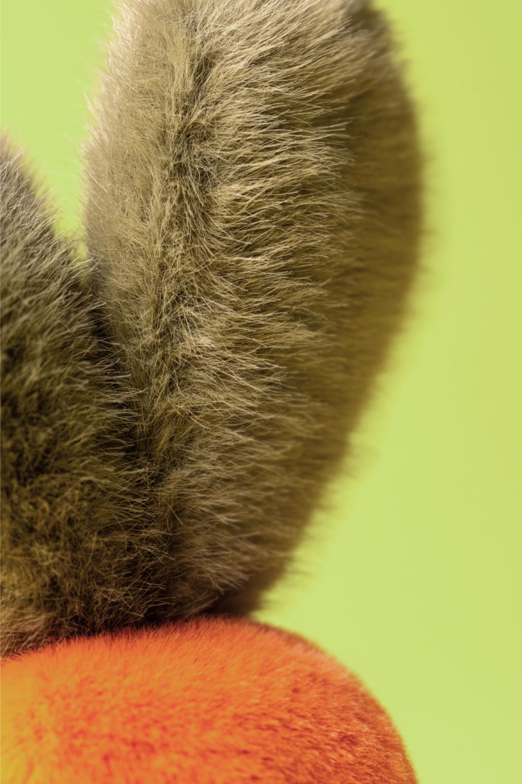 Jellycat Knuffel Amuseables Carrot – Little Wannahaves