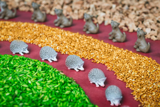 Petit Boum Sensorische Fles Bos