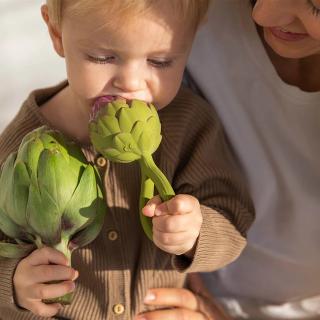 Oli & Carol Rammelaar Artisjok