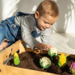 Oli & Carol Rammelaar Bloemkool