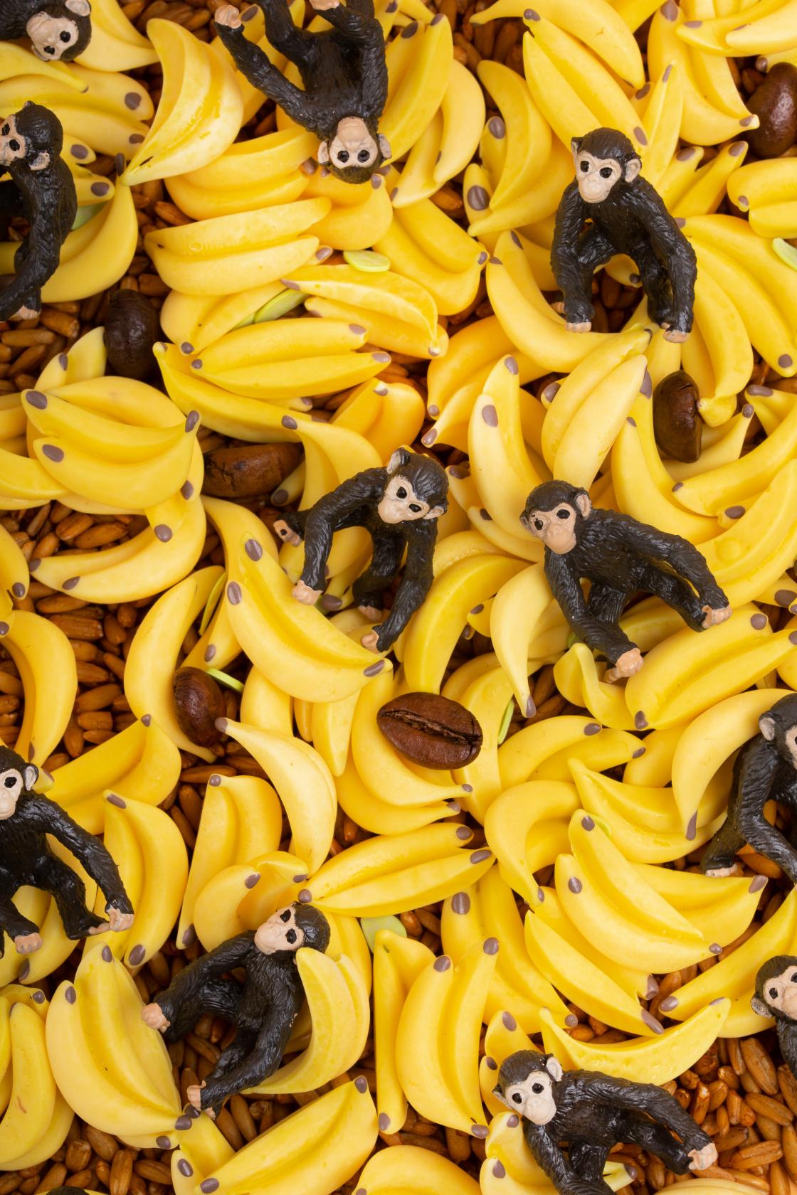 Petit Boum Sensorische Fles Aap