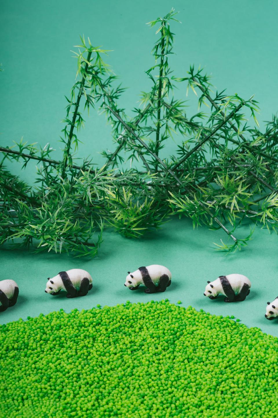 Petit Boum Sensorische Fles met Panda